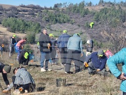 Бабица - „Гората на спомените“- залесяване