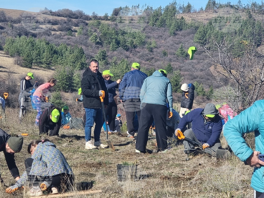 Бабица - „Гората на спомените“- залесяване