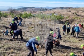 Бабица - „Гората на спомените“- залесяване