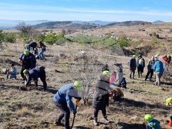 Бабица - „Гората на спомените“- залесяване