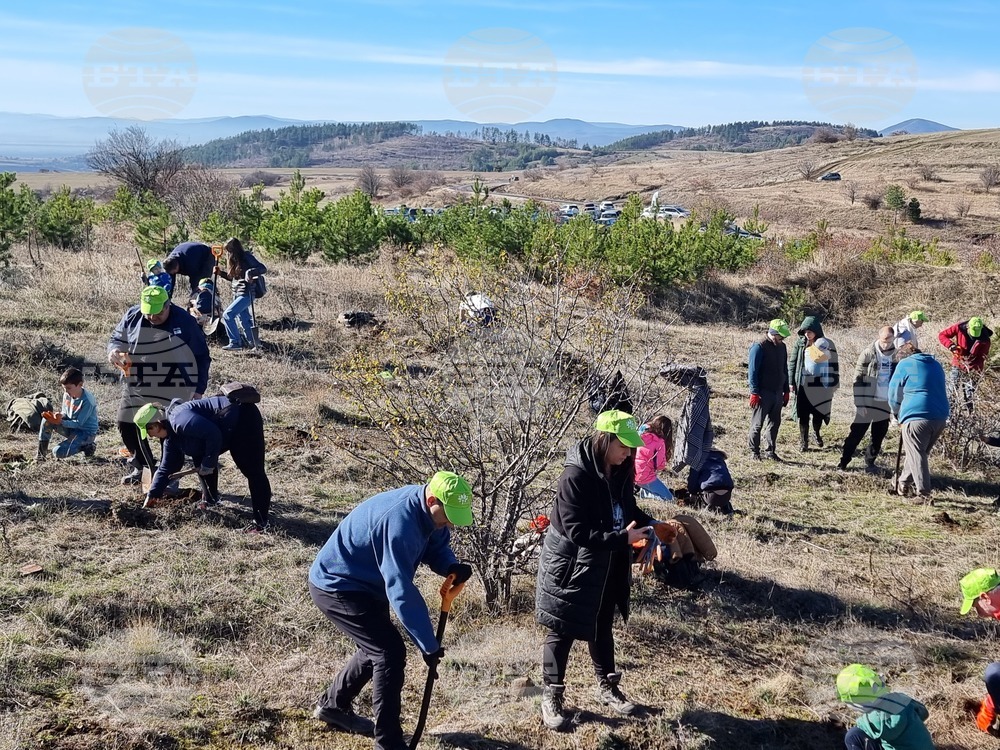 Бабица - „Гората на спомените“- залесяване