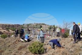 Бабица - „Гората на спомените“- залесяване