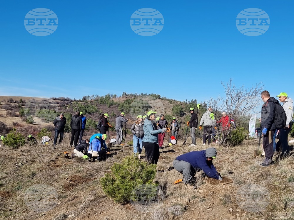Бабица - „Гората на спомените“- залесяване