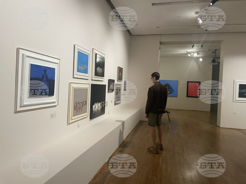 Софийска градска художествена галерия - Гайд тур - изложба „Иван Вукадинов. Картина извън картината“