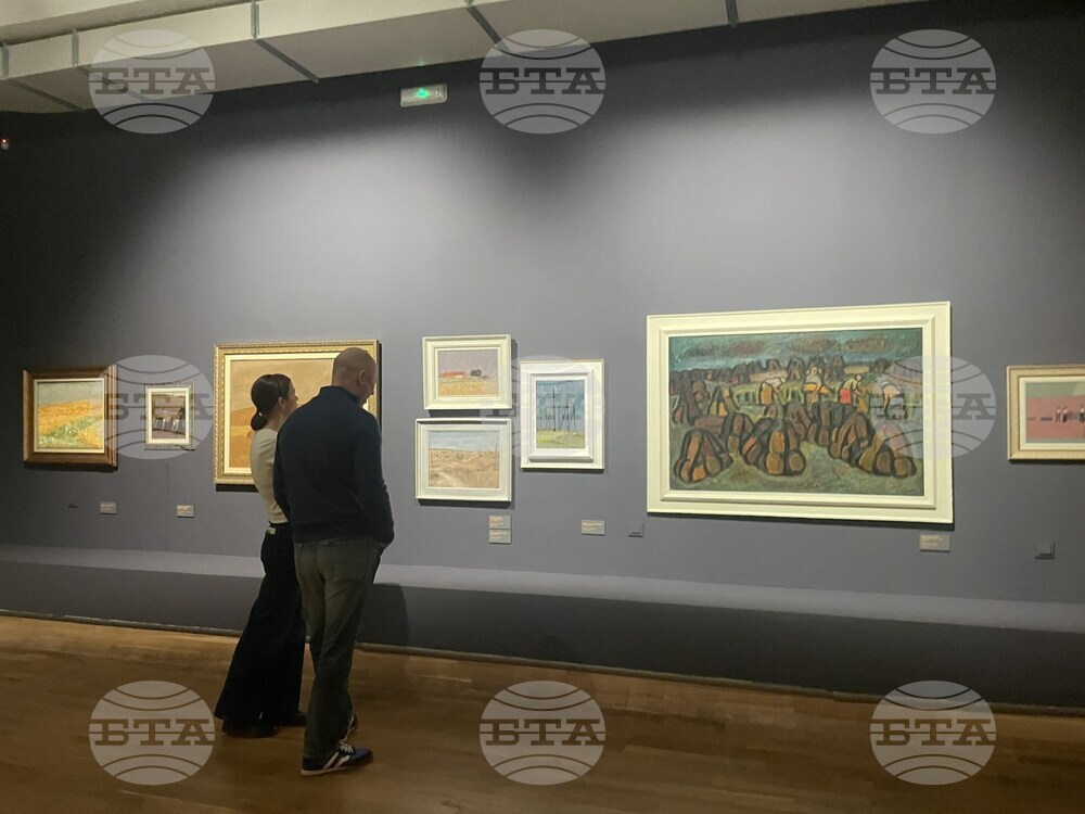 Софийска градска художествена галерия - Гайд тур - изложба „Иван Вукадинов. Картина извън картината“