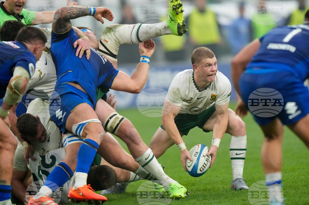 Italy South Africa Rugby