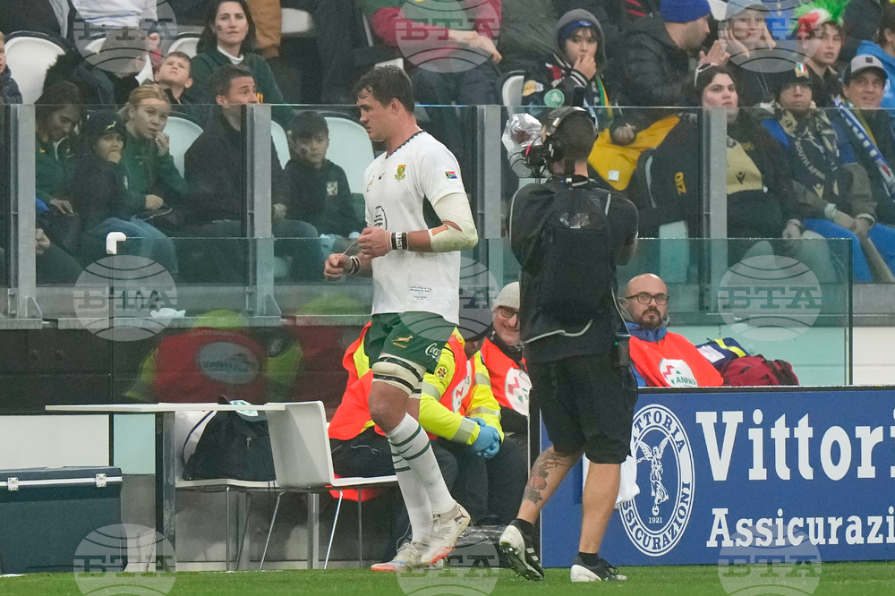 Italy South Africa Rugby