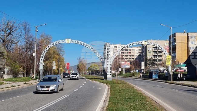 Мъж е задържан за стрелба по бездомно куче в Радомир