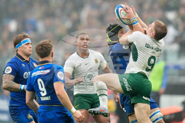 Italy South Africa Rugby