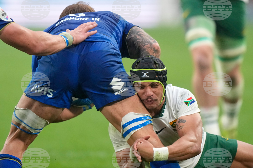 Italy South Africa Rugby