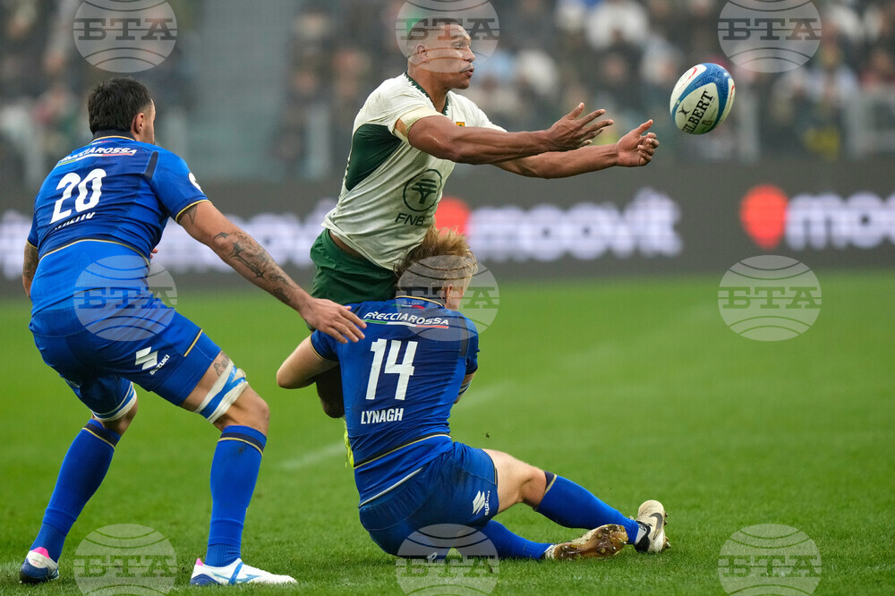 Italy South Africa Rugby