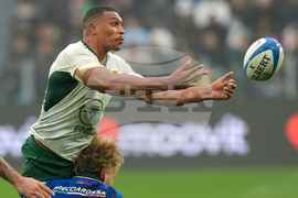 Italy South Africa Rugby