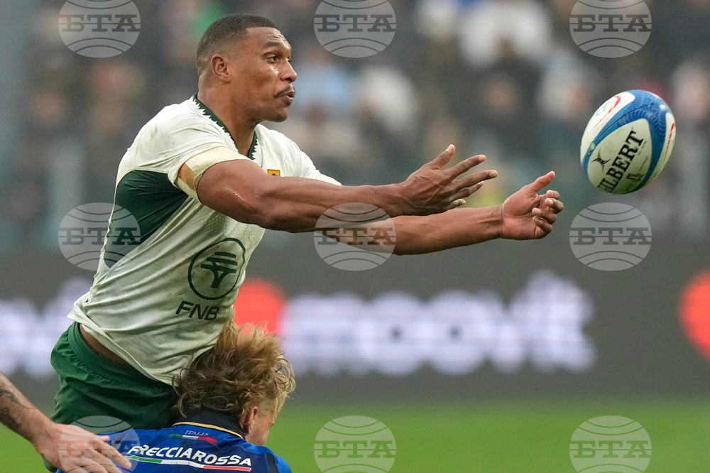 Italy South Africa Rugby