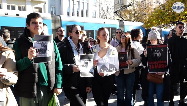 "Те не могат да говорят, ти защо мълчиш?" - граждани в София поискаха насилието над животни да спре
