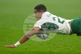 Italy South Africa Rugby