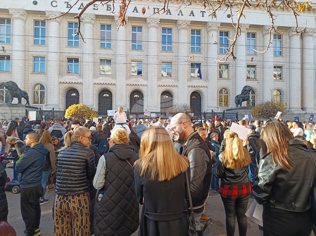 "Те не могат да говорят, ти защо мълчиш?" - граждани в София поискаха насилието над животни да спре