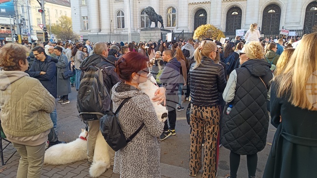 "Те не могат да говорят, ти защо мълчиш?" - граждани в София поискаха насилието над животни да спре