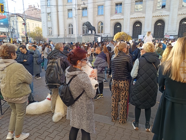 "Те не могат да говорят, ти защо мълчиш?" - граждани в София поискаха насилието над животни да спре