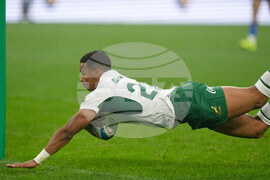 Italy South Africa Rugby