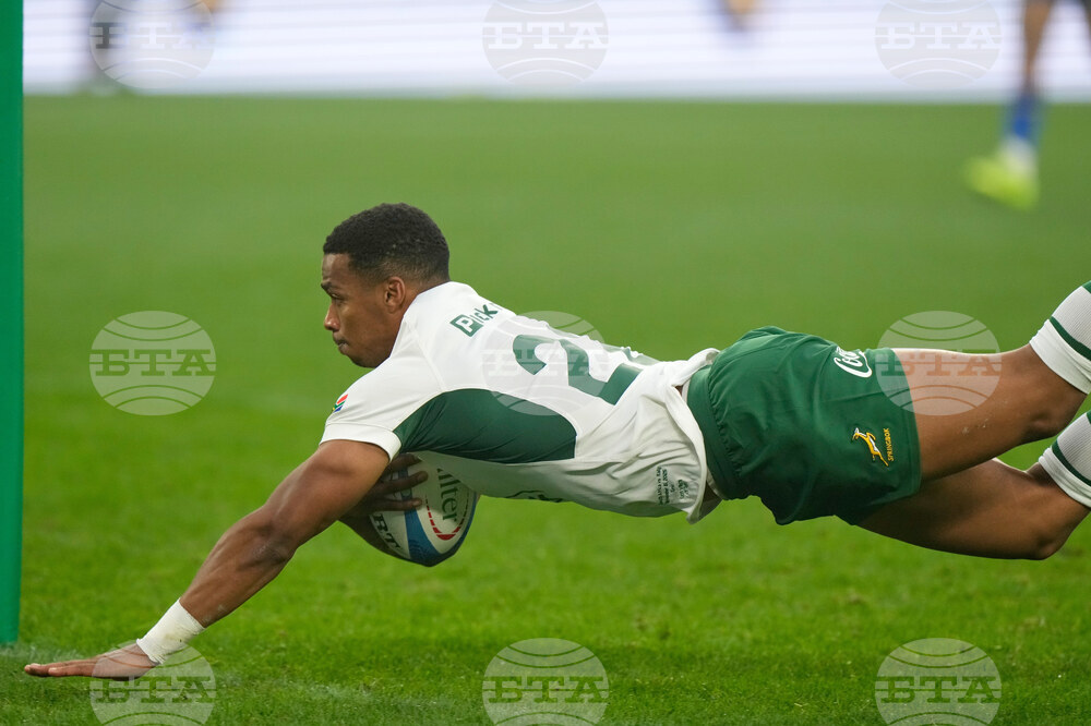 Italy South Africa Rugby