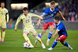 Liechtenstein Wales WCup Soccer