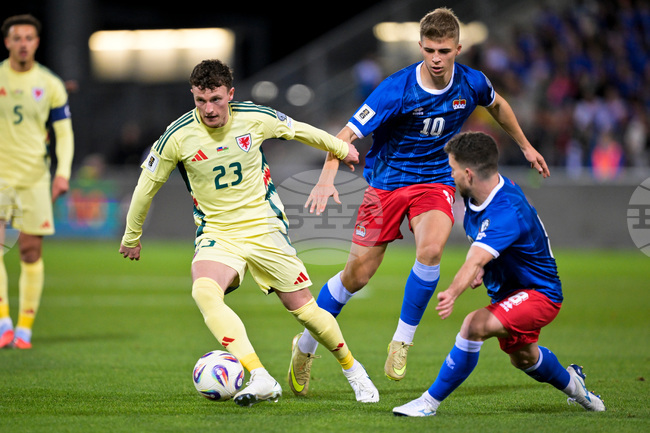 Liechtenstein Wales WCup Soccer