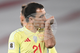 Georgia Spain WCup Soccer