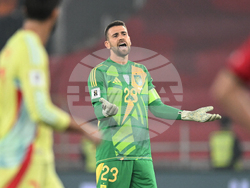 Georgia Spain WCup Soccer