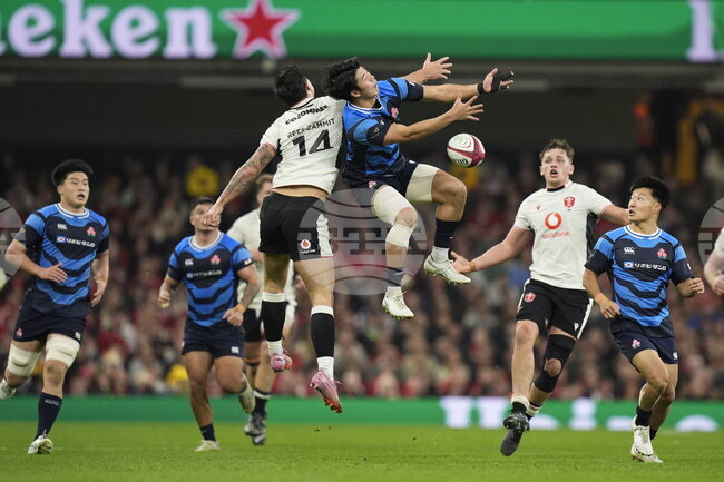 Wales Japan Rugby