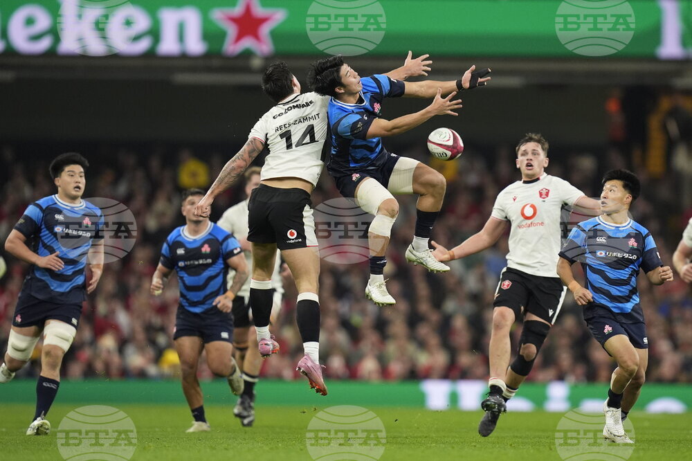 Wales Japan Rugby