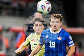 Liechtenstein Wales WCup Soccer