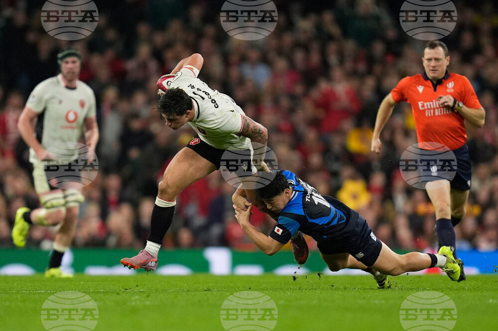 Wales Japan Rugby