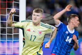 Liechtenstein Wales WCup Soccer