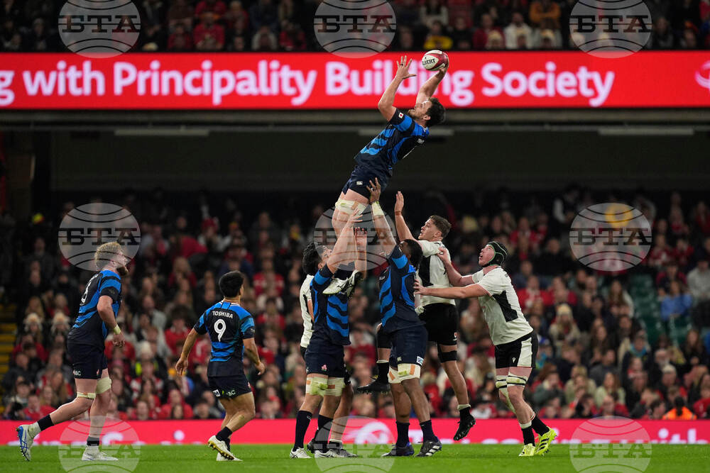 Wales Japan Rugby