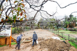 Extreme Weather California