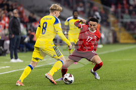 Switzerland Sweden WCup Soccer