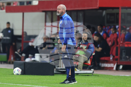 Greece Scotland WCup Soccer