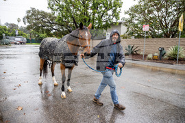 Extreme Weather California