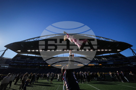 CFL Grey Cup Football