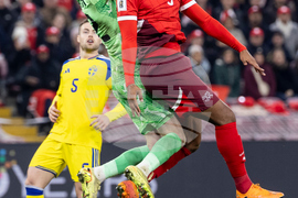 Switzerland Sweden WCup Soccer