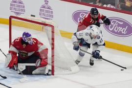 Lightning Panthers Hockey