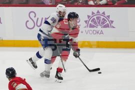 Lightning Panthers Hockey