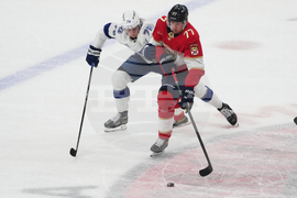 Lightning Panthers Hockey