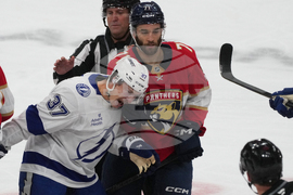 Lightning Panthers Hockey