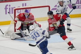 Lightning Panthers Hockey