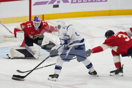 Lightning Panthers Hockey