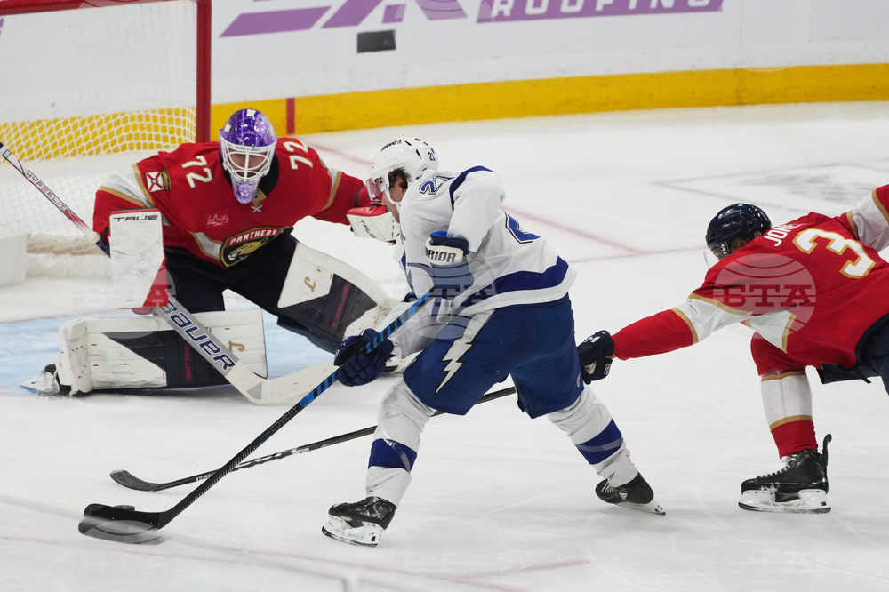 Lightning Panthers Hockey