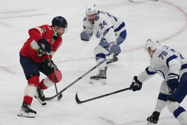 Lightning Panthers Hockey