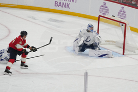 Lightning Panthers Hockey