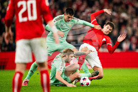 Denmark Belarus World Cup Soccer